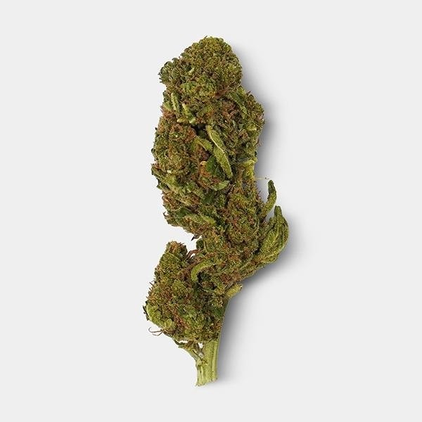 Flores CBD GB 'Los Santos Kush' - GB The Green Brand