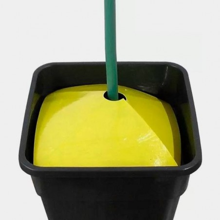 Armadilhas de insetos do solo amarelo - GB The Green Brand