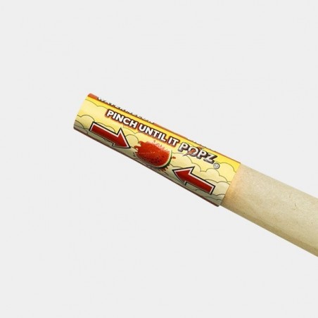 Conos de Cáñamo King Size POPZ