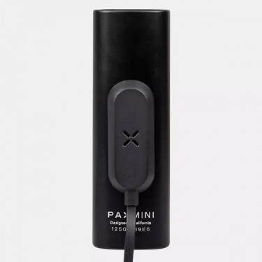 Vaporizador Pax Mini para ervas - GB The Green Brand
