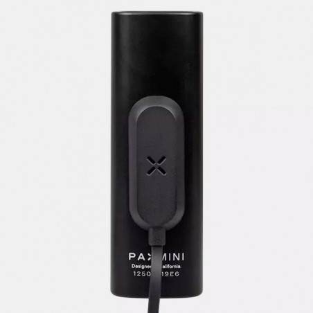 Vaporizador Pax Mini para ervas - GB The Green Brand