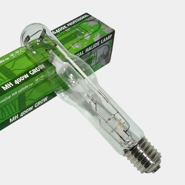 Fase de Crescimento HM de Luz Pura - GB The Green Brand