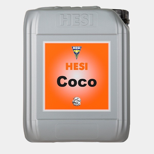 Coco Hesi