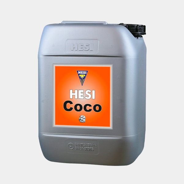 Coco Hesi