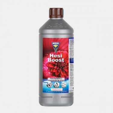 Hesi Boost
