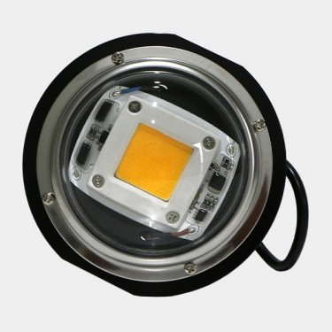LED TX COB DOB Bubble. Baixo Consumo - GB The Green Brand