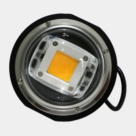 LED TX COB DOB Bubble. Baixo Consumo - GB The Green Brand