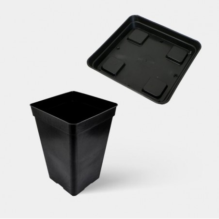 Vasos Quadrados