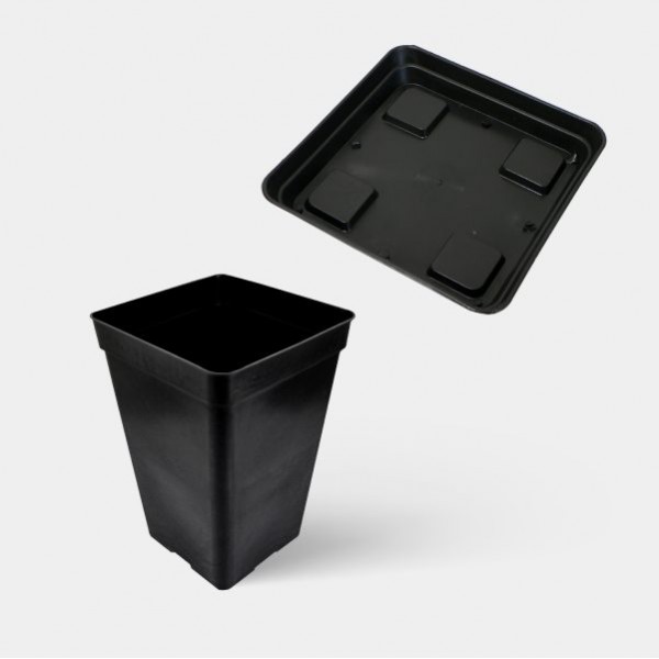 Vasos Quadrados