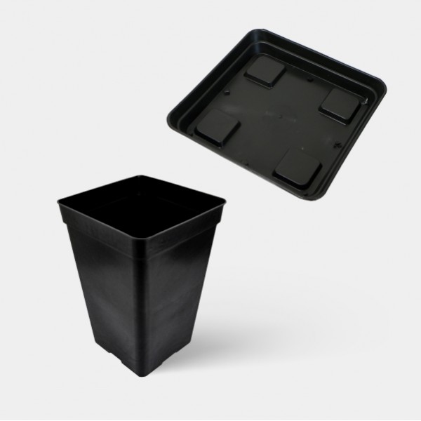 Vasos Quadrados