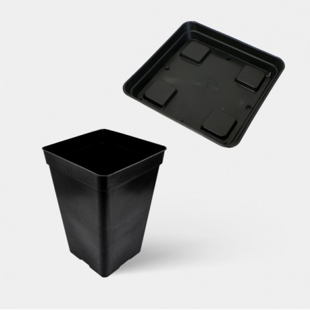 Vasos Quadrados