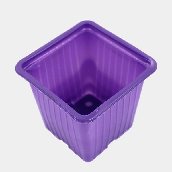 90 Vasos Coloridos 7 x 7 x 6cm púrpura