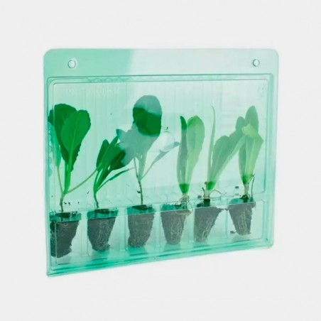 Caixa para Transportar 6 Clones