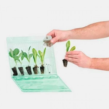 Caixa para Transportar 6 Clones