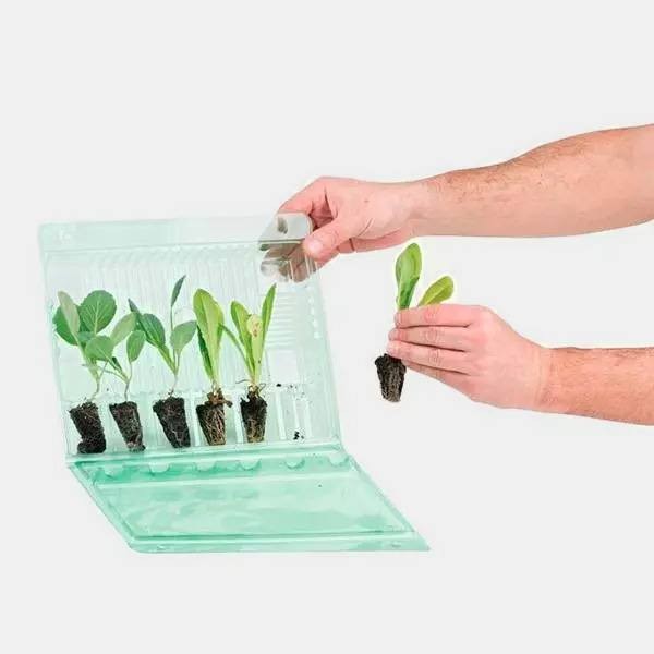 Caixa para Transportar 6 Clones