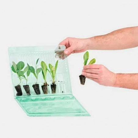 Caixa para Transportar 6 Clones