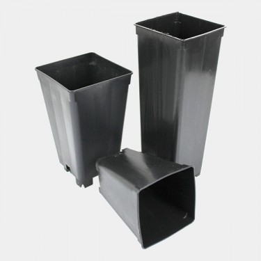 Vasos Alongados Quadrados