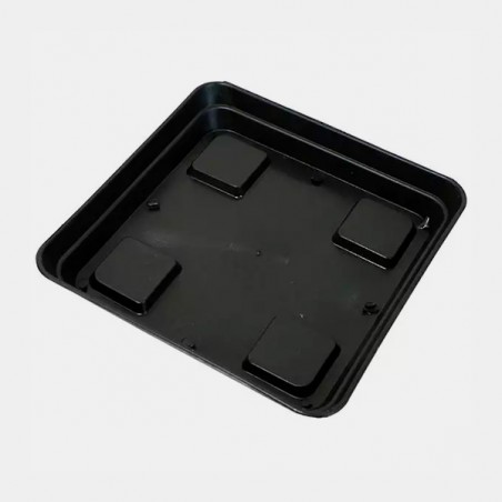 Prato para vaso autoflorescente