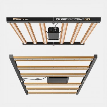 Dimlux Xplore Series LED 730W 9X de baixo