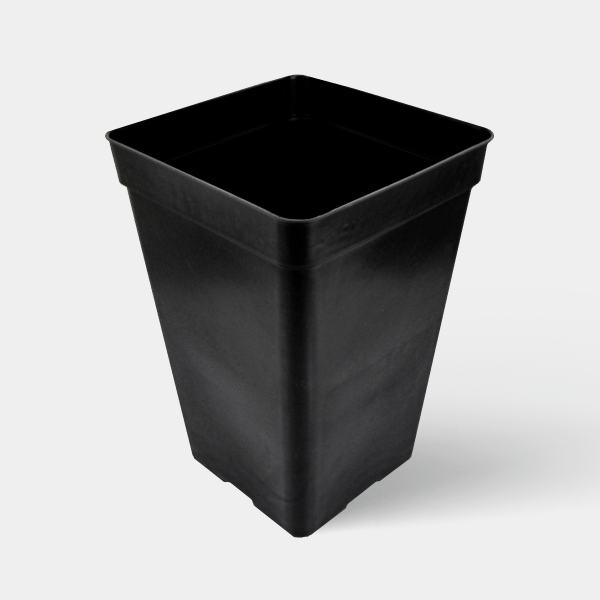 Vasos quadrados