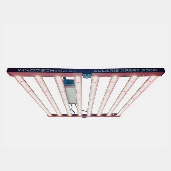LED Solaris Xpert 800W Innotech - GB The Green Brand