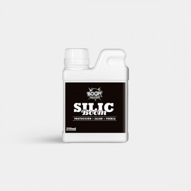 Silic Boom