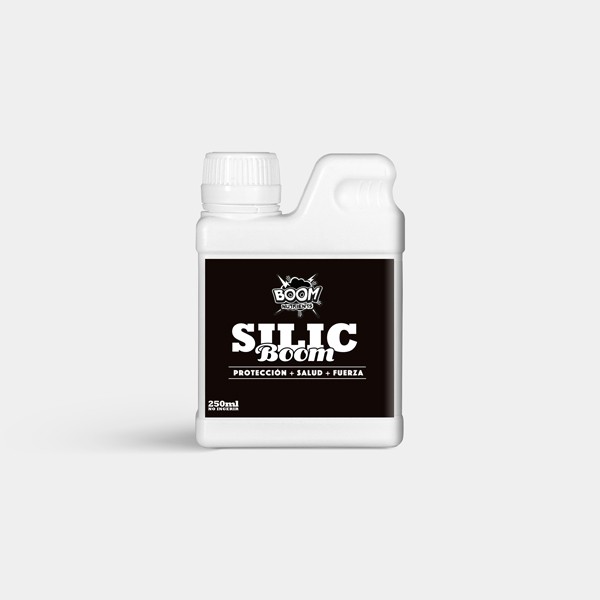 Silic Boom