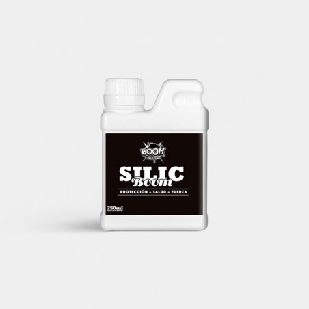 Silic Boom