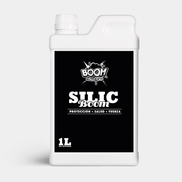 View Silic Boom