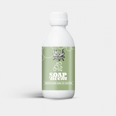  Soap Boom 