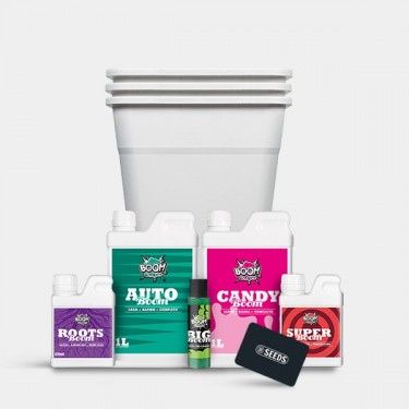 Kit completo Autoflowering Cultivation Cannabis - GB The Green Brand