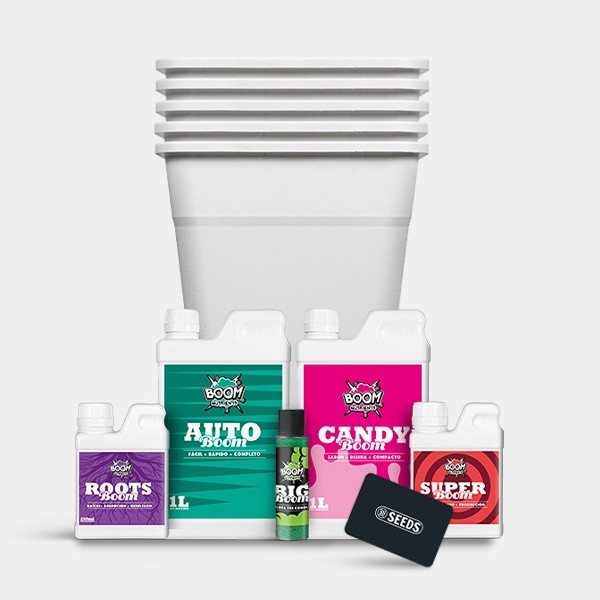 Kit de autoflorescente XXL