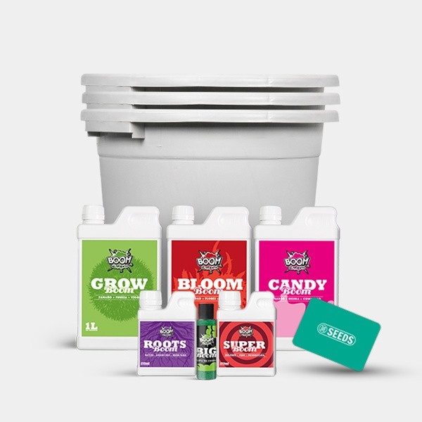 View Kit Completo Feminizadas Cultivo de Cannabis - GB The Green Brand