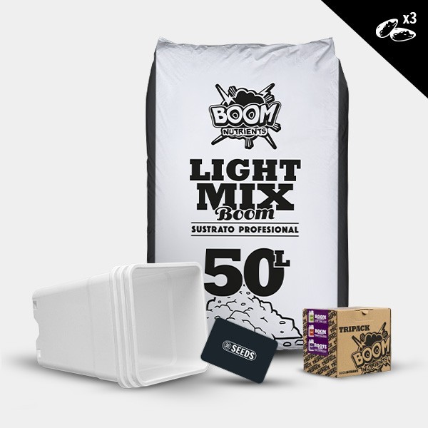 Kit exterior autoflorescentes