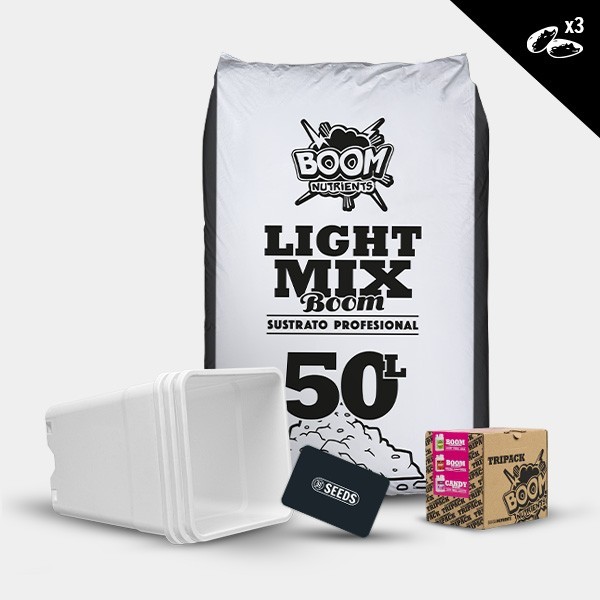 Kit exterior autoflorescentes