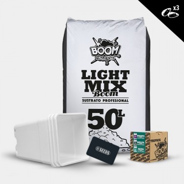 Kit exterior autoflorescentes