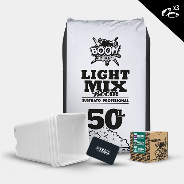 Kit exterior autoflorescentes