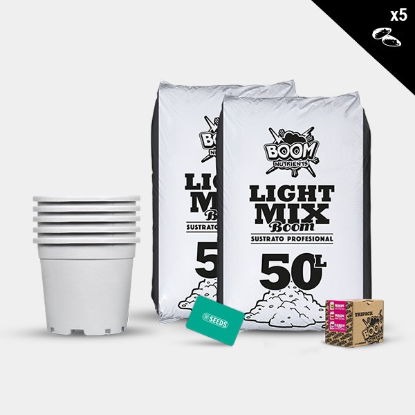 Kit exterior feminizadas