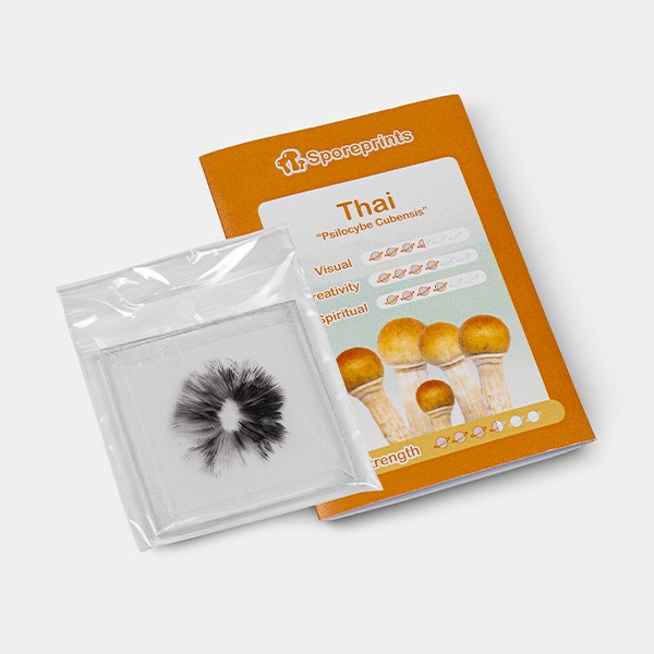 Impressão de esporos Thai packaging