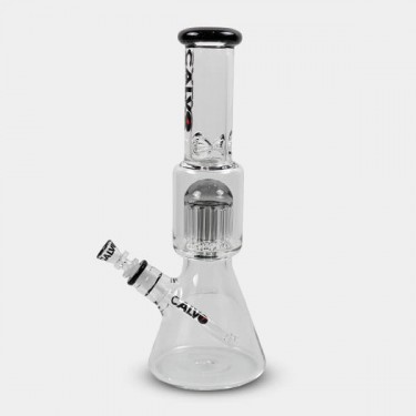 Beaker Tree Perc 35cm