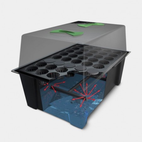 X-Stream of Nutriculture Propellers - GB The Green Brand