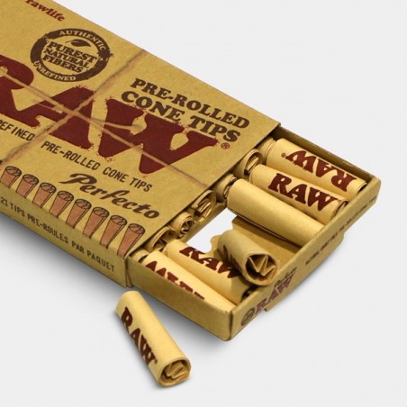 Dicas Profissionais de Cone Pré-Rolled Raw - GB The Green Brand