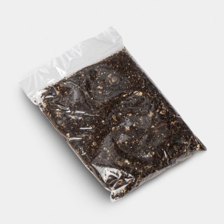Kit de cultivo de cogumelos Jack Frost substrato adicionado
