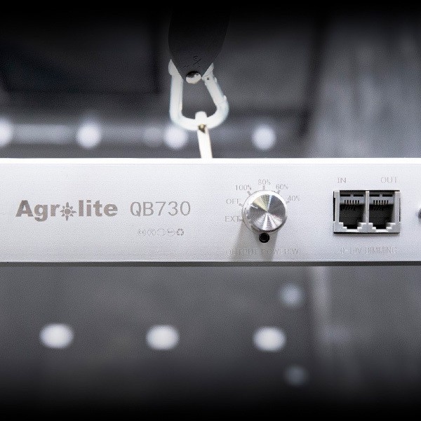 Sistema LED Agrolite QB 750W - GB The Green Brand