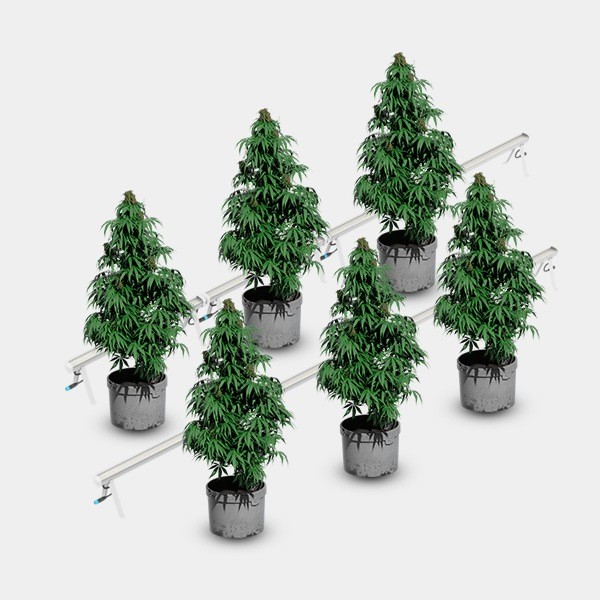Under Canopy LED 120W Solux plantas