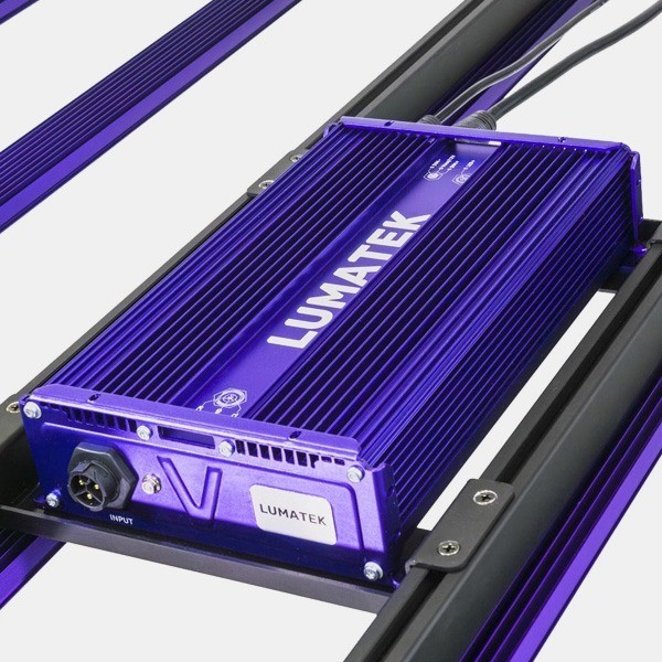 LED Zeus Lumatek 600w Pro 3.1 💡🟣 - GB The Green Brand