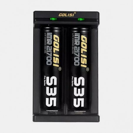 Carregador Golisi agulha 2 ou 4 para baterias - GB a marca verde
