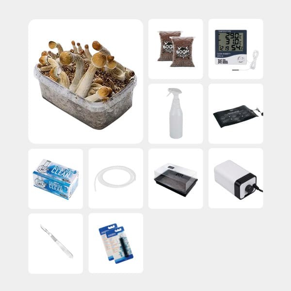 Kit Completo para Estudos Micológicos