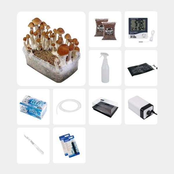 Kit Completo para Estudos Micológicos