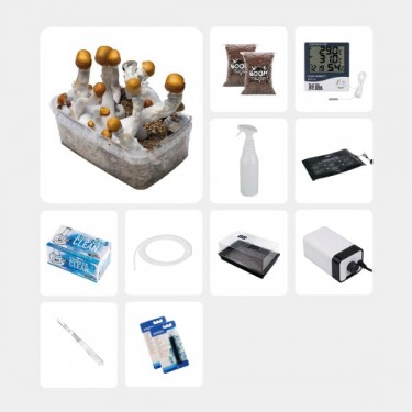 Kit Completo para Estudos Micológicos